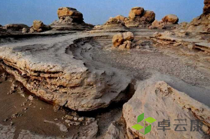 微信截图_20221205190046