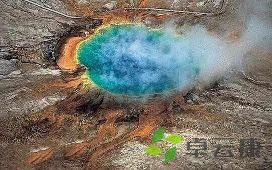 微信截图_20221205194117