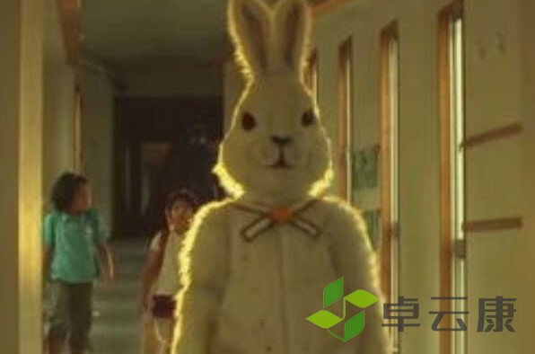 微信截图_20221205195205