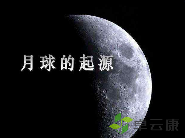 微信截图_20221205203157