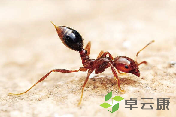 微信截图_20221205204052