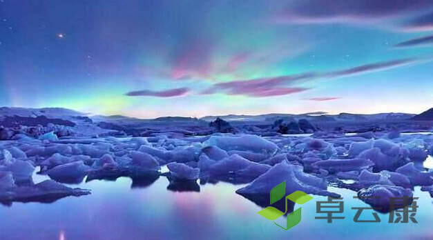 微信截图_20221205204752