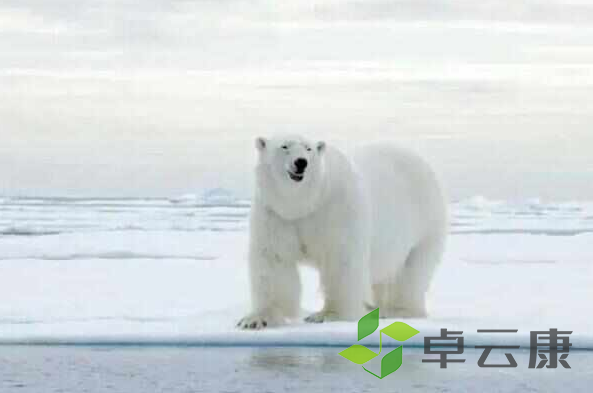 微信截图_20221205204954