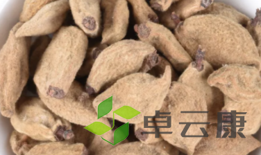 QQ截图20221205223323