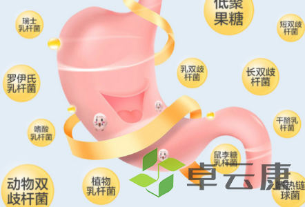 QQ截图20221205224415