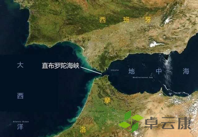 微信截图_20221206000046