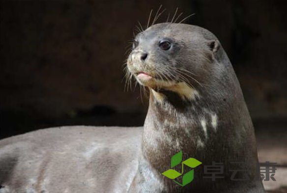 微信截图_20221206102904