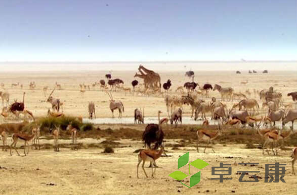 微信截图_20221206103121