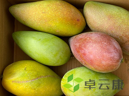 微信截图_20221201131852