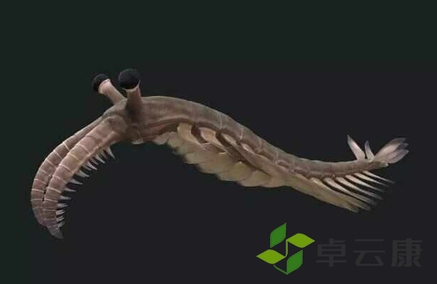 微信截图_20221206103730