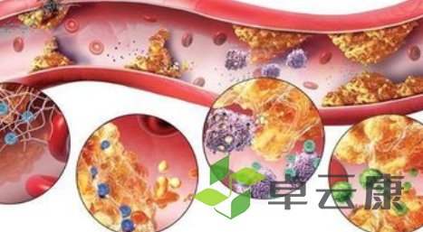QQ截图20221206111817