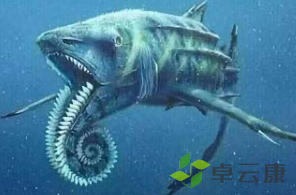 微信截图_20221206162252