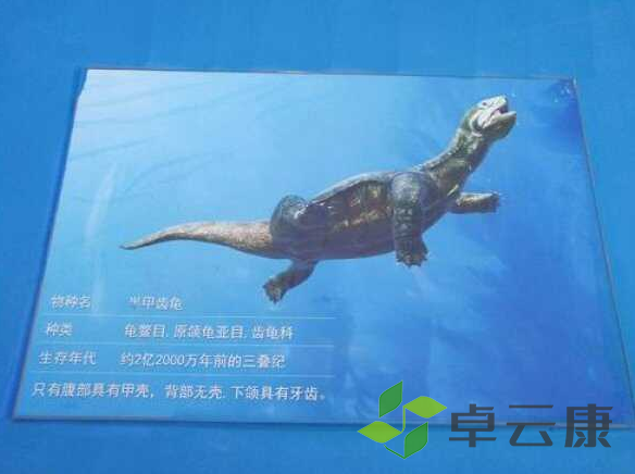 微信截图_20221206162846