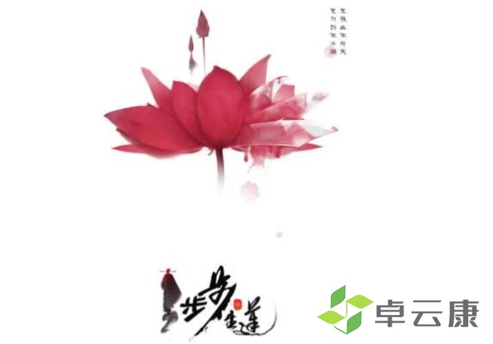 QQ截图20221206163312