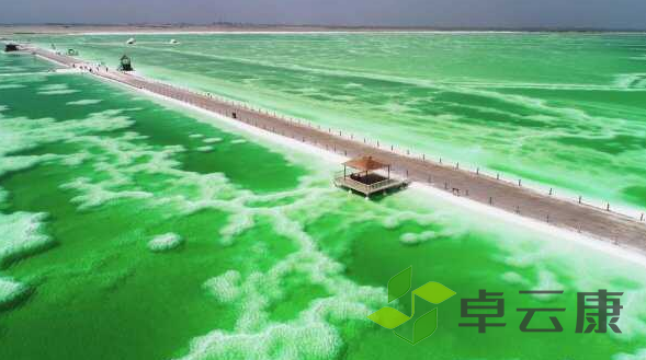 微信截图_20221206163302