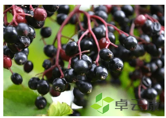 微信截图_20221204094044