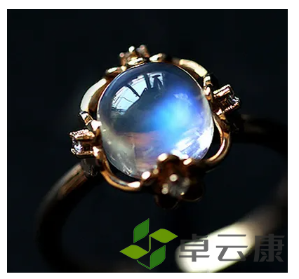 微信截图_20221204094044