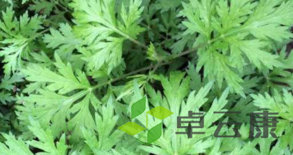QQ截图20221206214536