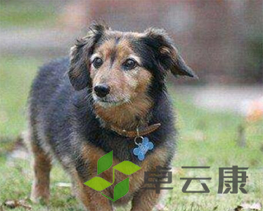 微信图片_20221207102101