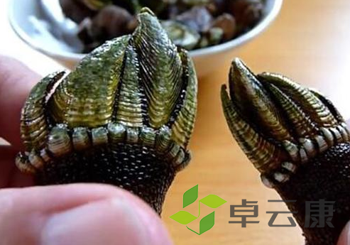 微信截图_20221207112228