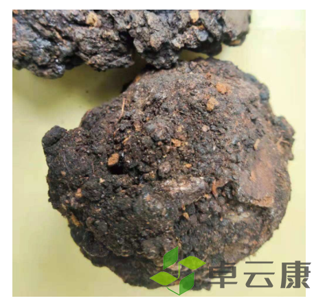 微信截图_20221204094044