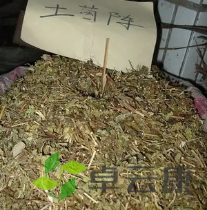 微信截图_20221207112228