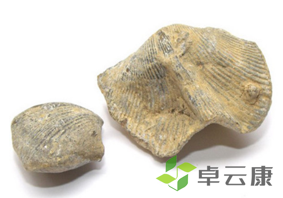 微信截图_20221207112228