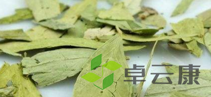 QQ截图20221207221056
