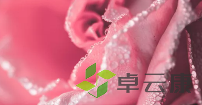 QQ截图20221207221454