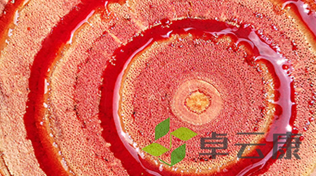 QQ截图20221207224924