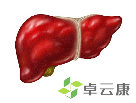 微信截图_20221208095307