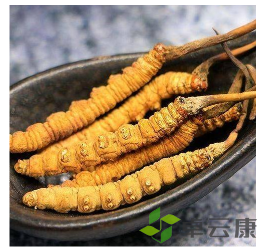 微信截图_20221208130450