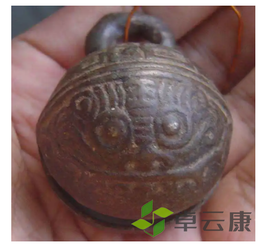 微信截图_20221208131410