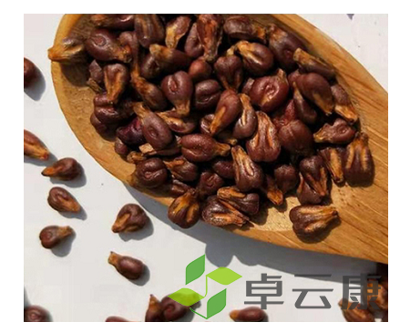 微信截图_20221208132939