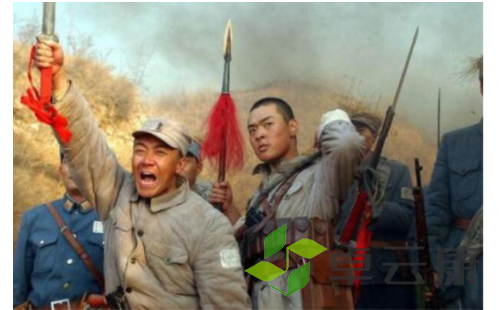 微信截图_20221208165001