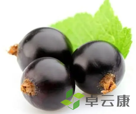 微信截图_20221207112228