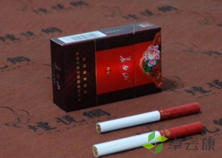 QQ截图20221208202401