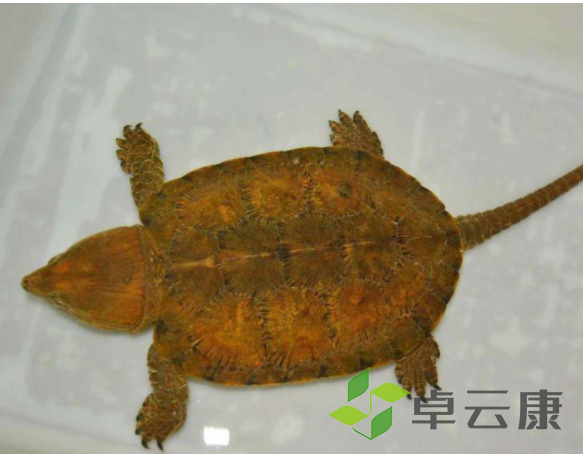微信截图_20221208203501