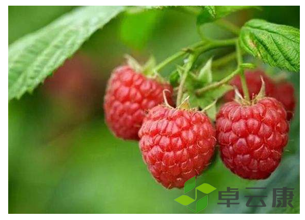 微信截图_20221209112714