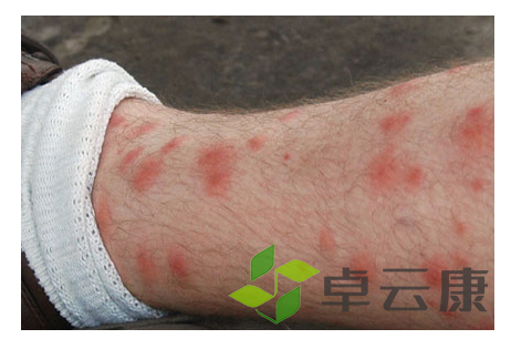 微信截图_20221209114055