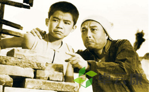 微信截图_20221209132603