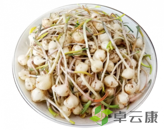 微信截图_20221209144025