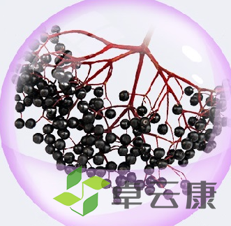 QQ截图20221209145117