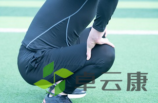 QQ截图20221209163245