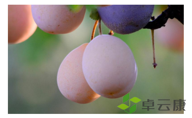 微信截图_20221209184316