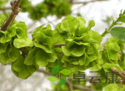 微信截图_20221210104220