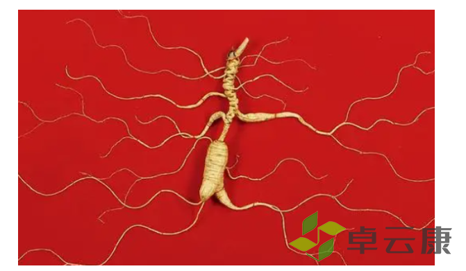 微信截图_20221210112655