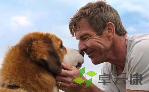 微信截图_20221210123504