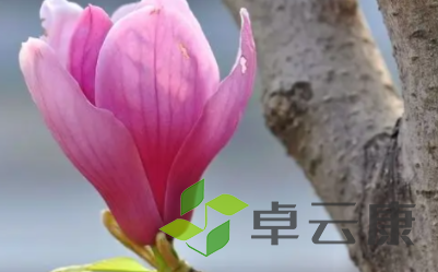 QQ截图20221210135056