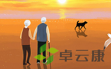 QQ截图20221210155830